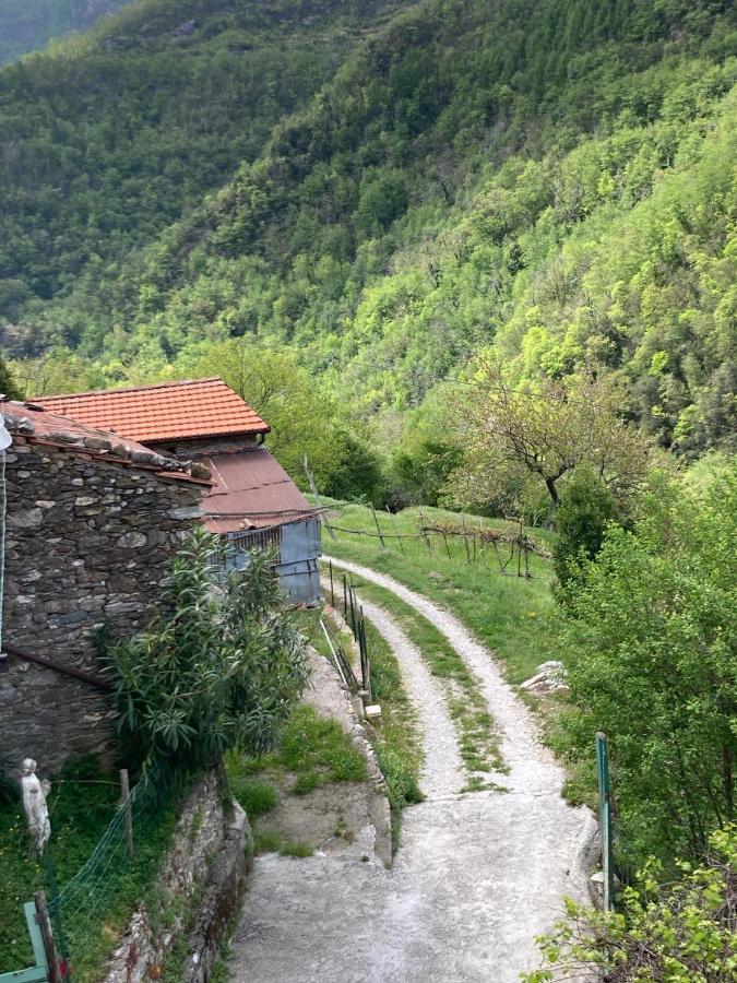 B&B Ameglia Garessio Exteriér fotografie